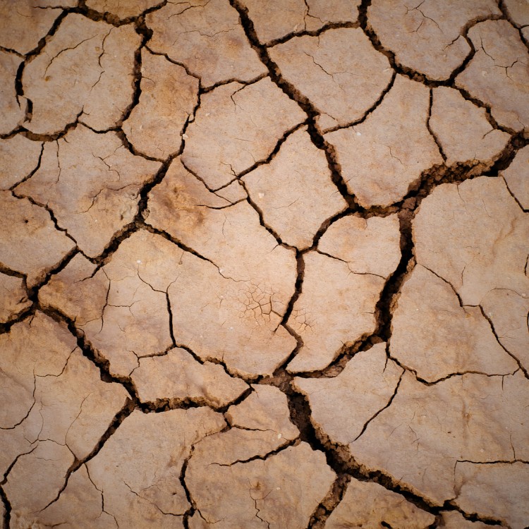 Foundation Repair in Plano, TX