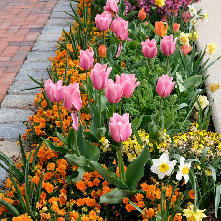 Foundation Repair in Plano, TX