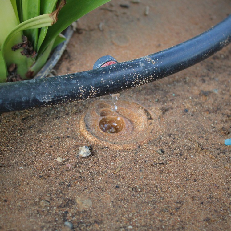 Foundation Repair in Plano, TX