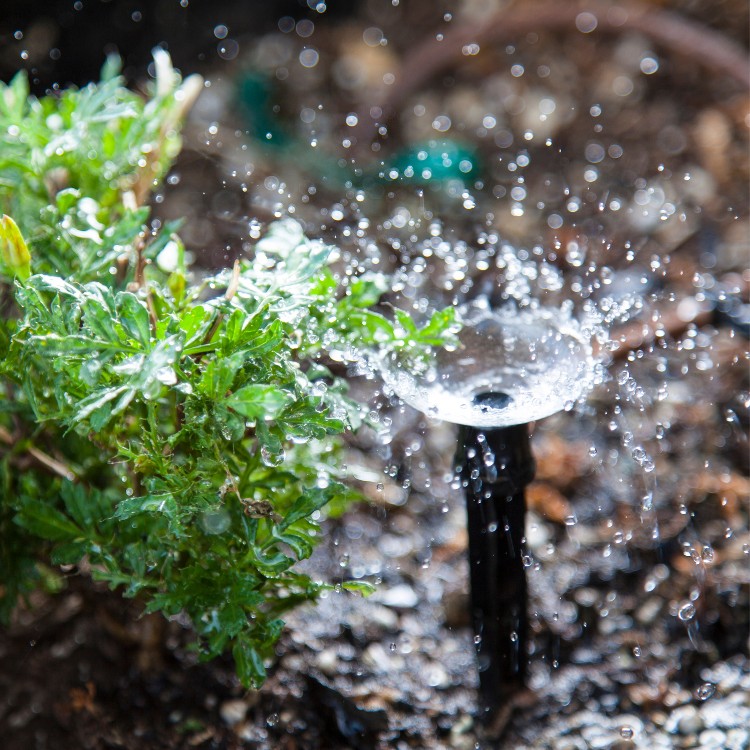 Foundation Repair in Plano, TX